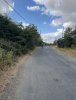 IMG_2386.jpeg