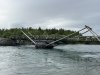 IMG_4363.jpeg