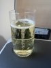 IMG_4086.jpeg