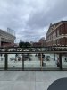 IMG_4116.jpeg