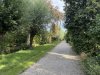 IMG_5161.jpeg