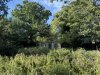 IMG_5163.jpeg