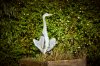 DSC07112.jpg