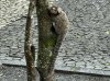 IMG_5503.jpeg