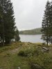 IMG_1341.jpeg