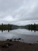 IMG_1347.jpeg