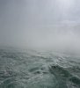 IMG_1893.jpeg