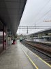 IMG_8171.jpeg