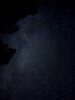 IMG_1381.jpeg