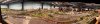 IMG_8227.jpeg