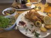 IMG_8318.jpeg