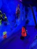 IMG_8327.jpeg
