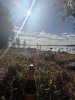 IMG_1406.jpeg