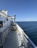 IMG_1977.jpeg