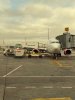 IMG_5945.jpeg