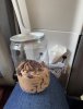 IMG_2490.jpeg