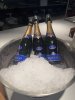 IMG_1478.jpeg