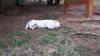 20170507_145459.jpg