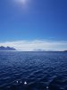 20170624_113733.jpg