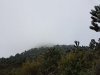 2017-08-09 15.45.24.jpg