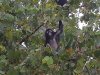 20171016_073743.jpg