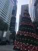 BBEB7C45-AE6F-423E-8640-E412D181BE85.jpeg