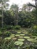 0F0B2758-32D8-4471-8706-162F2ECD42AF.jpeg