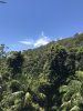 43B4FA6C-0F29-4727-BF1F-20182738A79A.jpeg