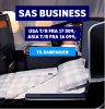 sas_c.PNG