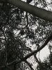 B0DAF589-7E53-4583-9B13-982F1E61B2A2.jpeg