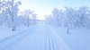 20180202_115437.jpg