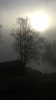 0C8D7021-5333-4BB3-A5ED-5EF91704401D.jpeg