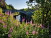 20180708_070619.jpg