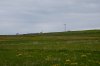 DSC_2950.jpg
