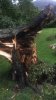 4F25C4CE-4F83-4C67-93D1-0D03EA07DAD6.jpeg