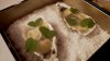 DSC01655.jpg