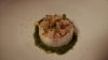 DSC01684.jpg