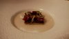 DSC01698.jpg