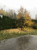 17D127B7-58F0-4C39-AA01-1BDF75DF2026.jpeg