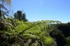 _DSC0131.jpg