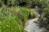 _DSC0163.jpg