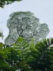 37B65C27-C400-42D3-8253-8EB177ADB0B9.jpeg