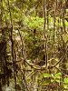 97AC2C5D-E3E8-4B0A-8556-D07D51416440.jpeg