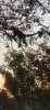 CDC8E414-76A9-414F-B951-279290944C6E.jpeg