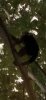 C53BBF19-2014-4019-B6DA-C0FEBE22AC24.jpeg