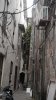 DSC03284.jpg