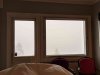 IMG_20190224_091947.jpg