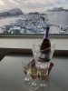 20190309_150018.jpg