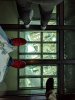 MVIMG_20190418_11343293.jpg