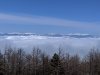 MVIMG_20190420_11440868.jpg